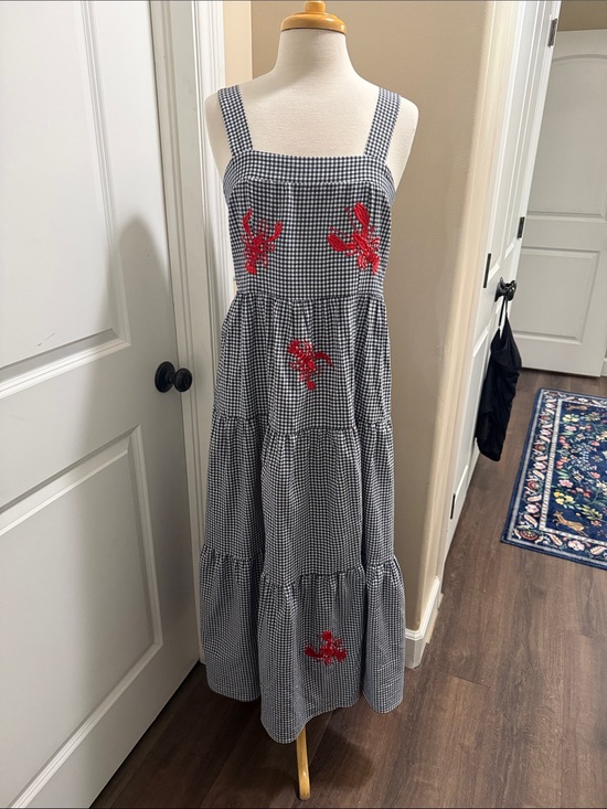 Source Unknown Dresses & Skirts - Blue and White Gingham Maxi Dress with Red Embroidery nantucket weekend dress